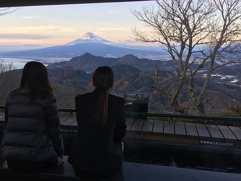 三島・伊豆長岡1泊2日！源兵衛川の湧水散歩→うなぎ→三嶋大社→温泉→三津シーパラ